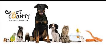 Lakes regional healthcare, precision hearing center, va spirit lake clinic, sanford health home medical equipment, warner dialysis center, harden hc, beauty box day spa. Helpful Links Emmet County Animal Shelter