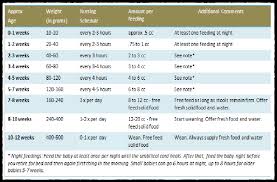 Efficient Infant Feeding Guide Chart Similac Baby Feeding