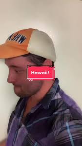 Late Landing in Hawaii