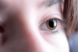 Image result for Mydriasis