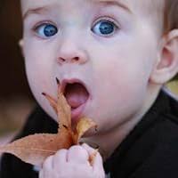 Amazon.com : Canon EF 135mm f/2L USM Lens for Canon SLR Cameras