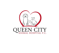 21 reviews of queen city animal hospital so happy with our experience at queen city animal hospital! Queen City Animal Hospital Home Facebook