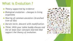 This is the date we determine with radiometric dating. Evolution Radiometric Dating Evidence Ppt Download