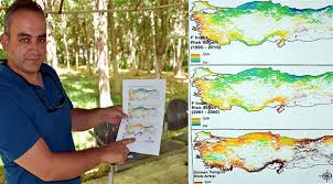Aşağıdaki haritada orman alanlarının toplam kara alanına göre oranlarının coğrafi dağılımı yansıtılmıştır Turkiye De Orman Yanginlari Cogalacak Hava Sicakligi Artacak Kuzey Ormanlari Savunmasi