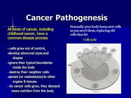 When you think of the rise in colorectal rates in younger adults has been parallel to the rise in the obesity epidemic the pair talked about a shared passion — early childhood development — and could have kept. Cancer In Children Solid Ppt Download