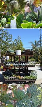 I have also played santa at private parties, photo sittings, breakfast with santa, pet day as well as appeared in news papers and local tv and radio and. 9 Diane Merritt Visual Merchandising Concepts Ideas Display Horticulture Florist Shop