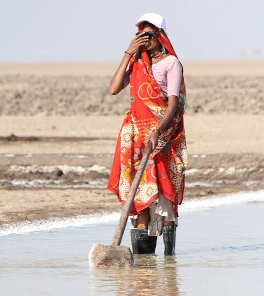 When salt is an essential commodity and salt makers are not