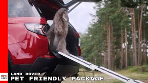 Land Rover Dog Pet Friendly Package Youtube
