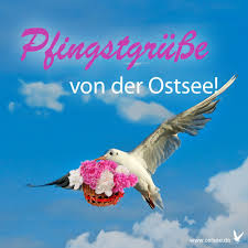 Wer einem arbeitskollegen, oma oder opa. Pfingstgrusse Pfingstgrusse Pfingsten Lustige Pfingstgrusse