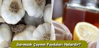 Sarimsak Cayi Nasil Yapilir Faydalari Nelerdir Sarimsak Tarifler Diyet