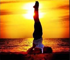 Check spelling or type a new query. 200 Hour Yoga Teacher Training In Italy Yogamea School