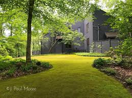 Be cautious not to tromp on the moss. My Moss Lawn Is Aglow This Morning Moss Mosslawn Lawnalternative Nomow Gardenphotography Nativeplants Gre Moss Lawn Lawn Alternatives Grass Landscaping