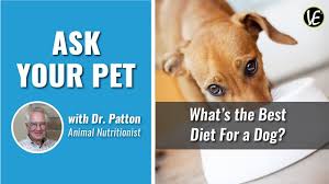 That's why we made an ingredients splitting! Dog Food 101 How To Choose Homeskooling 4 Dogs