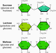 Pin On Nutrition Science