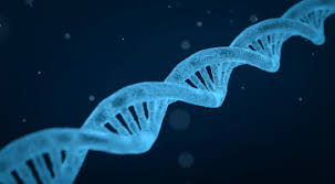 A cancer may also cause symptoms like fever, extreme tiredness (fatigue), or weight loss. Potential Target For Treating Many Cancers Found Within Gli1 Gene Ecancer