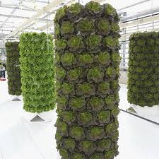 Lvg Research Facility In Heidelberg Germany Aquaponics Greenhouse Vertical Farming Aquaponics