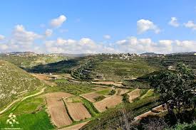 aiteet in south lebanon عيتيت جنوب لبنان by ali badawi lebanon wearelebanon nature lebanon farmland