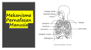 1 bahasa melayu kssm tingkatan 3. Nota Sains For Form 3 Bab 1 Part 1 Youtube