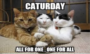 Find the newest saturday night meme. Caturday Night Meme Funny Cat Memes 2 Caturday Night Fever World Find And Save Saturday Night Memes From Instagram Facebook Tumblr Twitter More