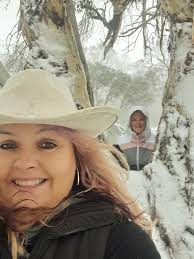 Sweet Gum Trees in Winter