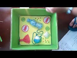 How to make an animal cell model 3d project for science exhibition | how to make animal cell model #animalcellmodel. Plant Cell Model Youtube Plant Cell Project Cells Project Plant Cell Model