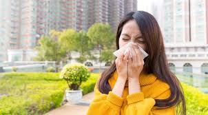 Maybe you would like to learn more about one of these? Penyakit Rhinitis Alergi Gejala Penyebab Pengobatan Klikdokter Com