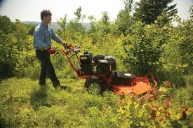 5 Steps For Clearing Overgrown Land Backyard Makeover Backyard Land Clearing