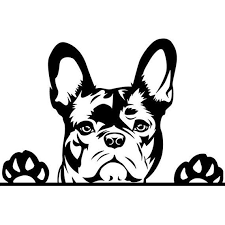Black And White Frenchie Clipart French Bulldog 30 Peeking Paws Cute Tongue Dog Breed K 9 Etsy French Bulldog Art Dog Drawing Dog Silhouette