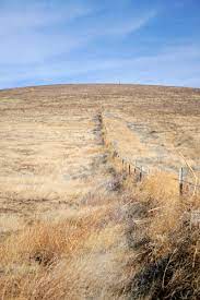 Celebrate and remember the lives we have lost in simi valley, california. Antelope Valley California Poppy Reserve Auf Twitter The Storm System That Came Through Last Week Saw 0 18 Of Rain At The Poppy Reserve This Paints An Unfavorable Picture Of The Wildflower Bloom