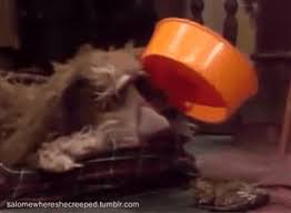 Sprocket proves the adage that dog is man's best friend. Facts About Sprocket From Fraggle Rock Album On Imgur