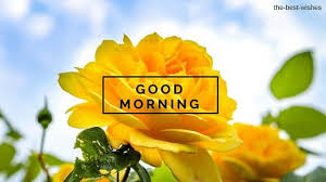 Check spelling or type a new query. Top 134 Good Morning Wishes With Rose Best Hd Images