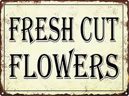 We did not find results for: Uptell Fresh Cut Flowers Metal Signs Vintage Look Rustic Metal Signs Retro 8x12 Inch Farmhouse Goals