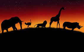 African Animals Wallpaper Zoo Animals Wild Animals Silhouettes Animal Wallpaper Animal Silhouette