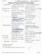 Types Of Tissues Found In The Body Worksheet Tissue Chart