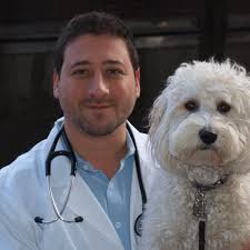 TOP 10 BEST Affordable Dog Teeth Cleaning near Paramus, NJ 07652