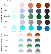 Lens Tint Chart Futurenuns Info