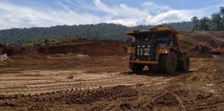Valemax ships are a fleet of very large ore carriers (vloc) owned or chartered by the brazilian mining company vale s.a. Pemerintah Telah Siapkan Dana Akuisisi 20 Persen Saham Vale Indonesia Merdeka Com