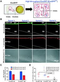 Yong seng sdn bhd welcomes you. Direct Isolation Of Circulating Extracellular Vesicles From Blood For Vascular Risk Profiling In Type 2 Diabetes Mellitus Lab On A Chip Rsc Publishing Doi 10 1039 D1lc00333j