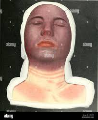 Dark blue veins hi-res stock photography and images