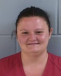 Levy County Sheriff's Star: Two Arrested After Stealing Guns