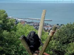 10 Of The Best Most Fascinating Zoos In The World La Vie Zine