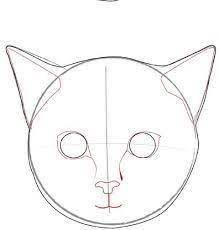 You can make the cat any color you like. How To Draw A Realistic Cat S Face Cat Face Drawing Cat Drawing Tutorial Realistic Drawings