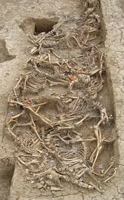 Excavating the history of ancient veterinary practices - Binois - 2015 - Veterinary Record - Wiley Online Library