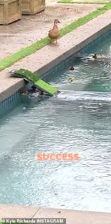 Find news about caroline stanbury and check out the latest caroline stanbury pictures. Https Www Dailymail Co Uk News Article 8206541 Nnew Lifeline Struggling Aussies Hardship Payments Soon Help Cover Utility Bills Html 2020 04 10t00 34 20z Yearly 0 7 Https I Dailymail Co Uk 1s 2020 04 10 00 27022906 8206541 Image A