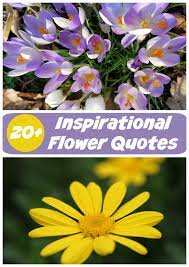 Flowers are the sweetest things god ever made, and forgot to put a soul into. Inspirational Flower Quotes Motivational Sayings With Photos Of Flowers