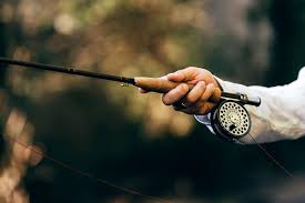 Trout fishing pole big 5 : Best Beginner Fly Rod In 2021 Fly Fisher Pro