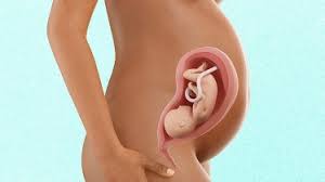 The men who exercised 30 minutes a day lost an average of 2 pounds more of body weight than those who worked out for an hour. 30 Weeks Pregnant Pregnancy Week By Week