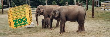 Zoo Tickets Onondaga County Parks