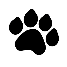 We did not find results for: Easy Dog Paw Print Novocom Top