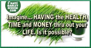7 Known Barley Grass Benefits That You Should Know Barley Grass Barley Benefit